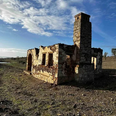 Vtar Cordoba19
